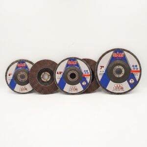 Flap Disc M.S., Sali Brand