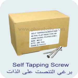 Self Tapping Screw
