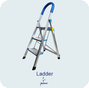 Ladder
